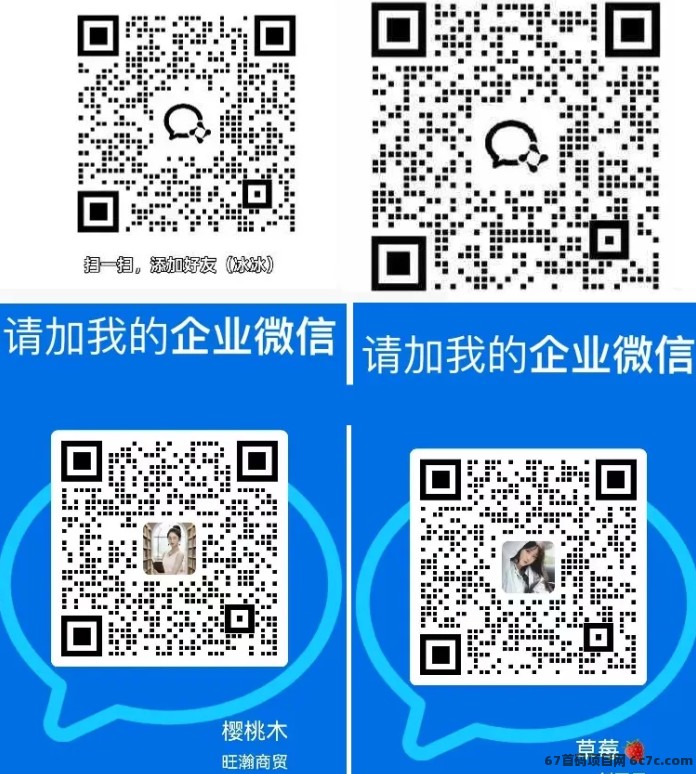 居家AI电商项目来了!AI辅助商品曝光,实时结算,多渠道收入模式!